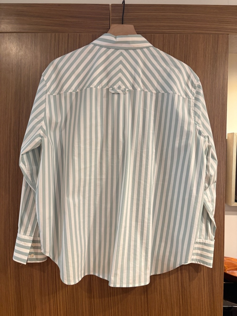 AYR:  The Deep End Shirt, Size M, Muted-Sagy Green Stripe - Picture 4 of 7